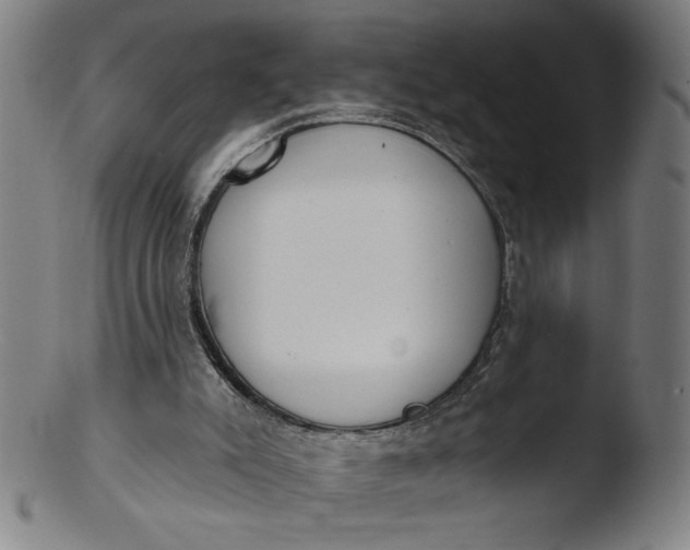 X0000103420007200809261718