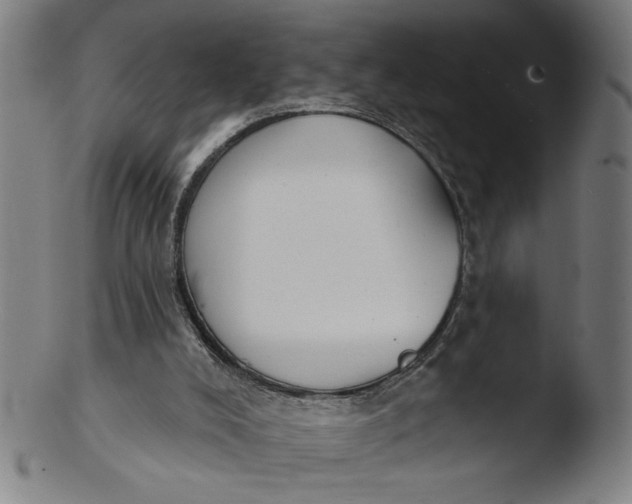 X0000103420008200809261718