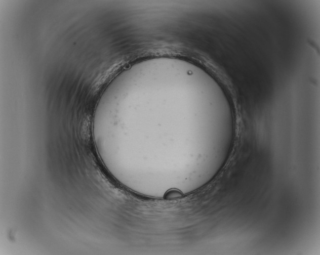 X0000103420009200809261718