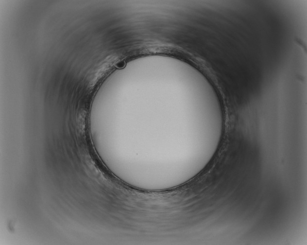 X0000103420010200809261718