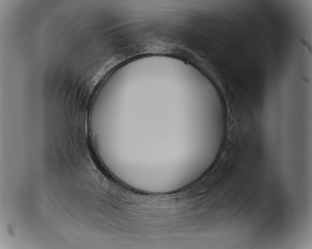 X0000103420011200809261718