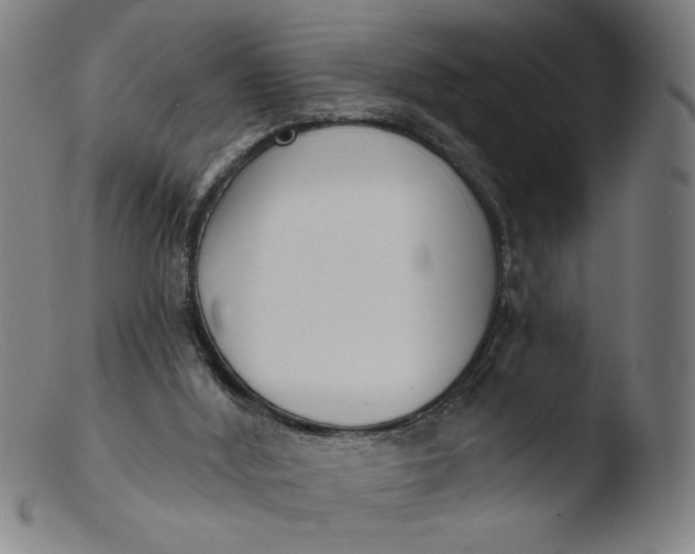 X0000103420012200809261718