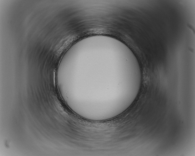 X0000103420014200809261718