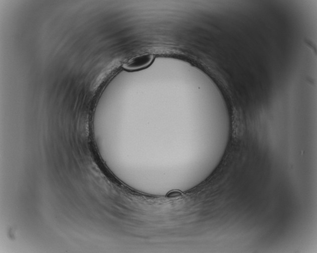 X0000103420015200809261718