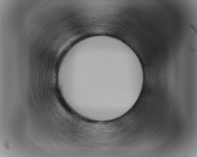 X0000103420016200809261718