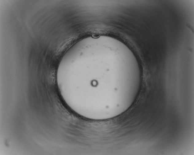 X0000103420017200809261718