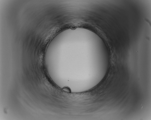 X0000103420018200809261718
