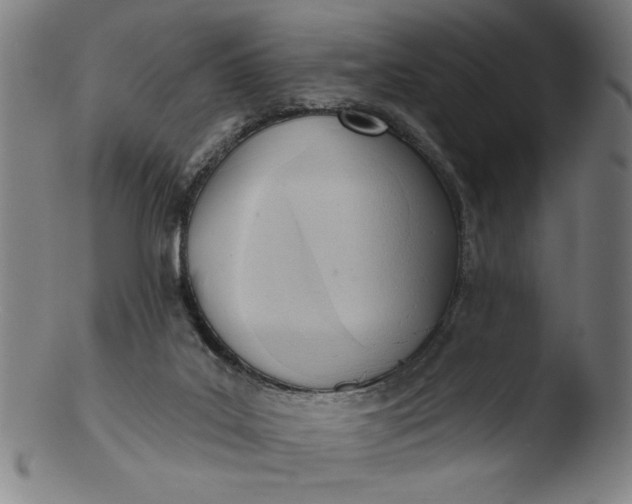 X0000103420019200809261718