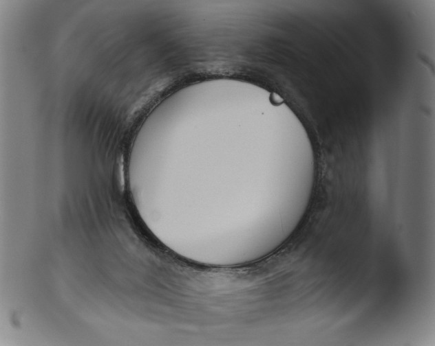 X0000103420020200809261718
