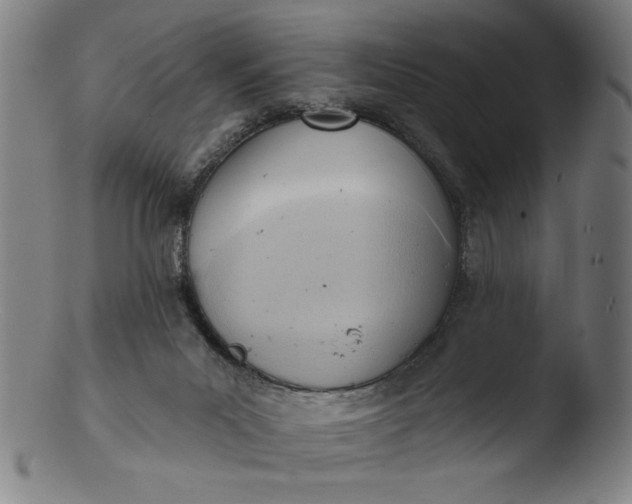 X0000103420023200809261718