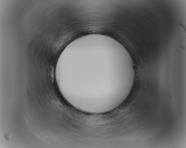X0000103420024200809261718