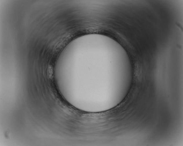 X0000103420025200809261718