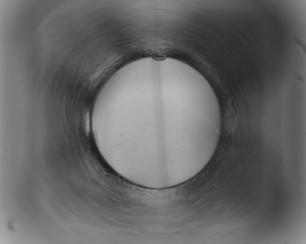 X0000103420027200809261718