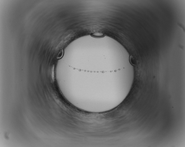 X0000103420028200809261718
