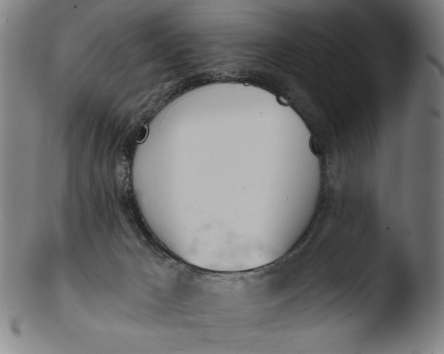 X0000103420029200809261718