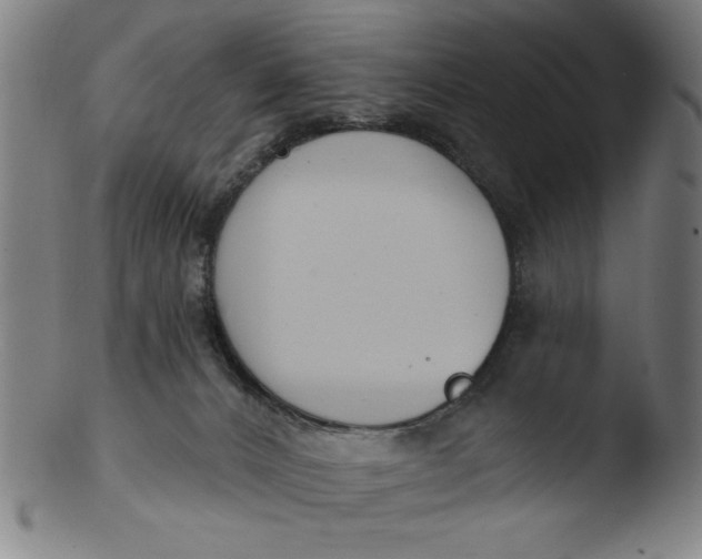 X0000103420032200809261718