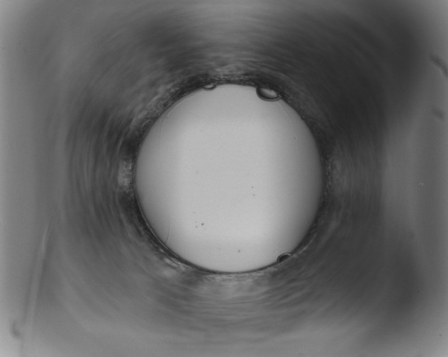 X0000103420033200809261717