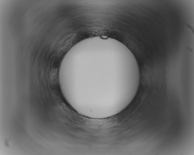 X0000103420034200809261717