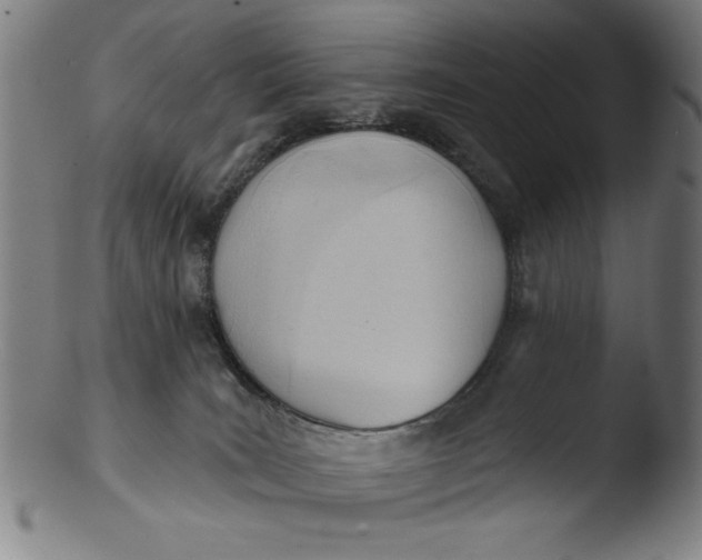 X0000103420035200809261717