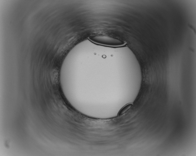 X0000103420036200809261717