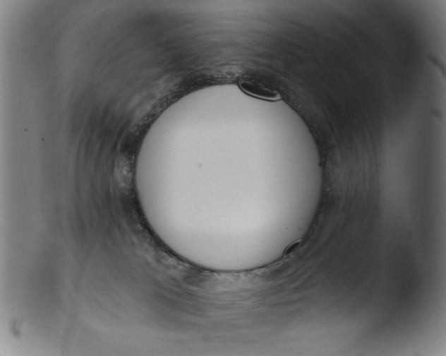 X0000103420037200809261717