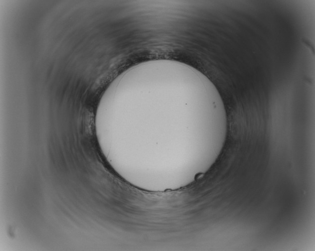 X0000103420038200809261717