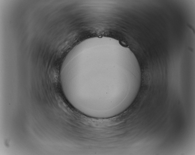 X0000103420039200809261717