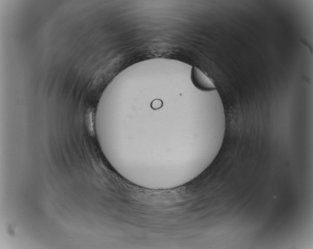 X0000103420042200809261717