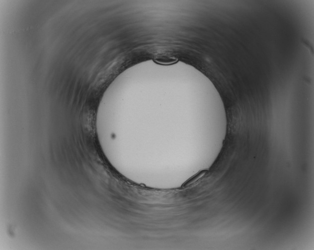 X0000103420044200809261717