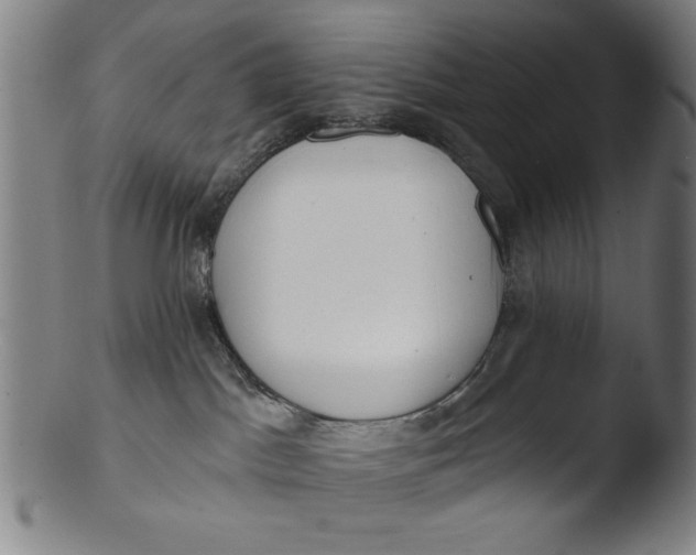 X0000103420045200809261717