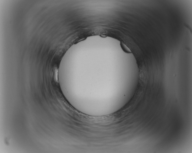 X0000103420046200809261717