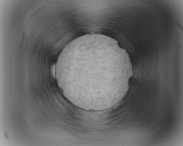 X0000103420047200809261717