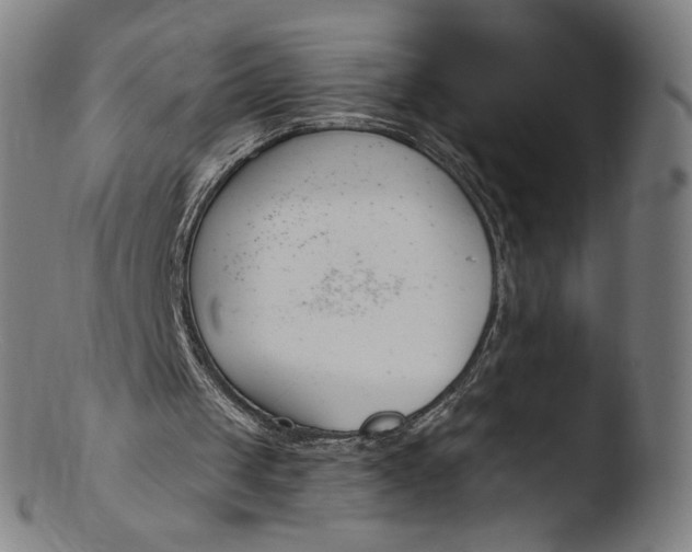 X0000103420049200809261716