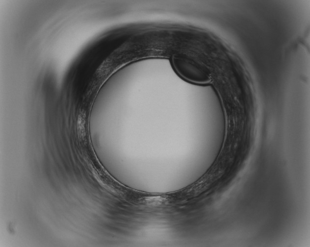 X0000103420050200809261716