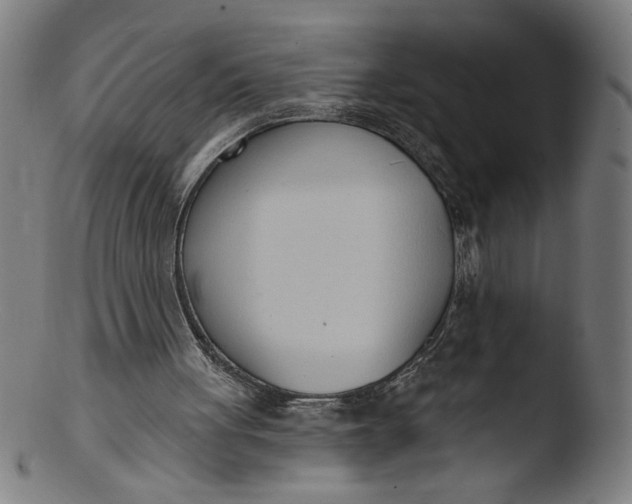X0000103420051200809261716