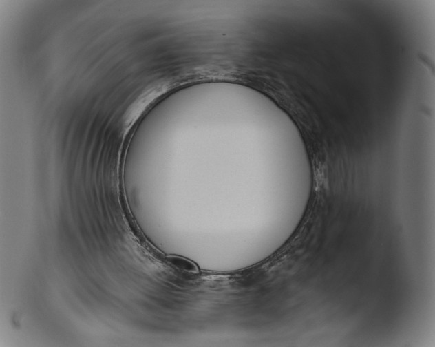 X0000103420052200809261716