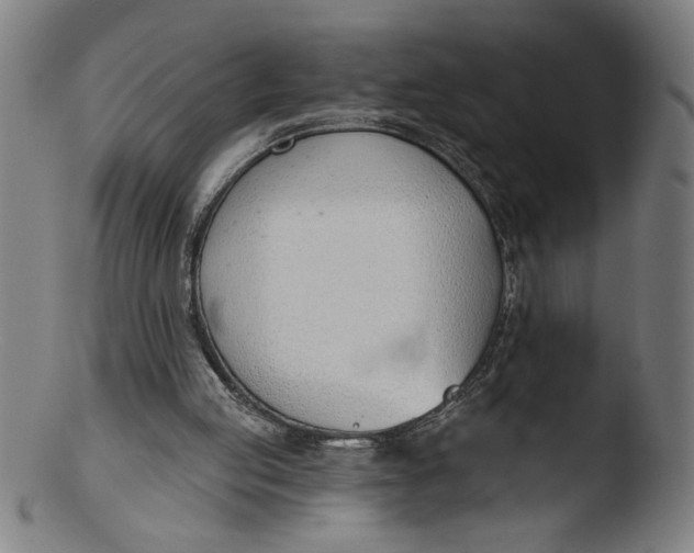 X0000103420053200809261717