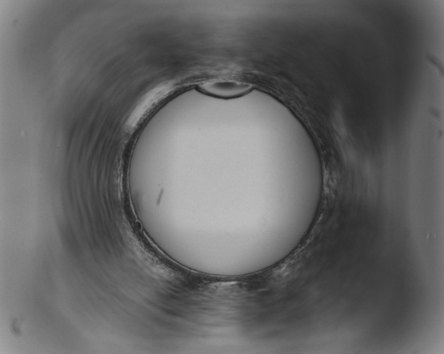 X0000103420054200809261717