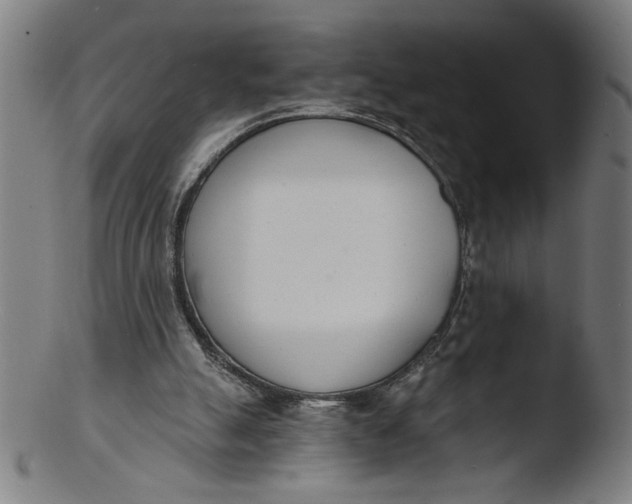 X0000103420055200809261717