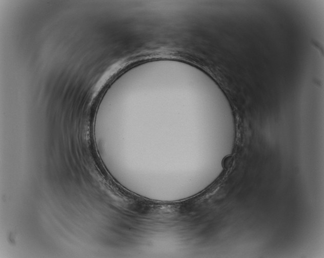 X0000103420056200809261717