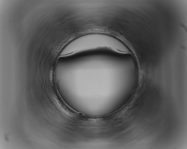 X0000103420057200809261717