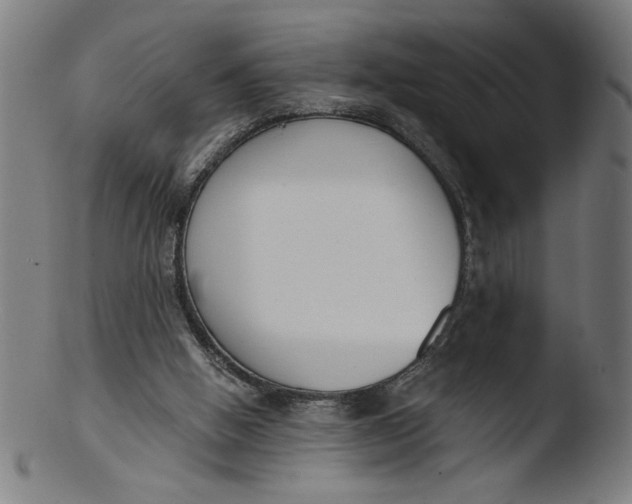 X0000103420058200809261717