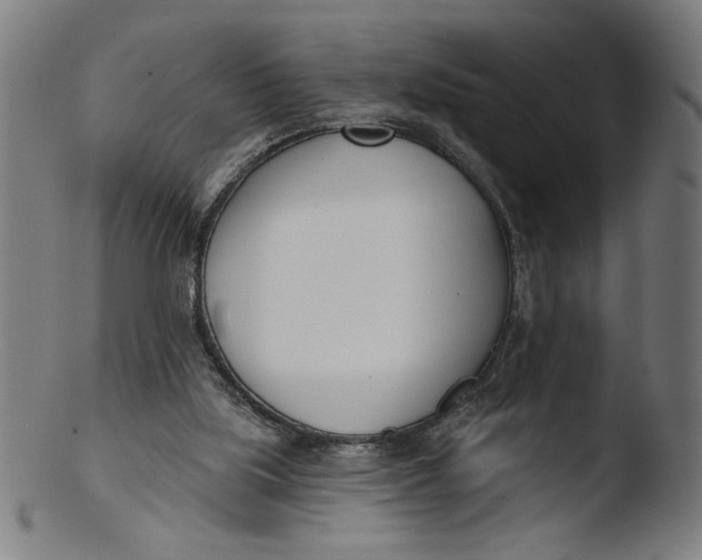 X0000103420059200809261717