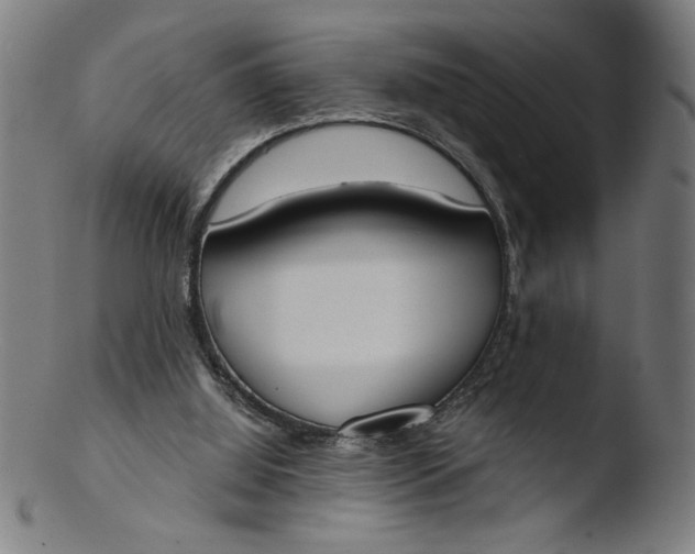 X0000103420060200809261717