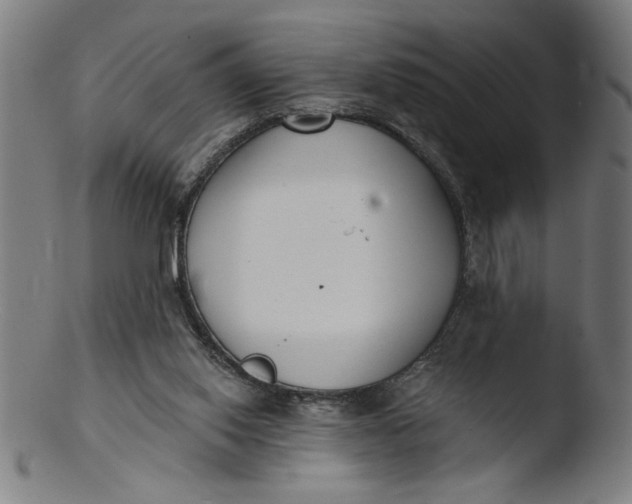 X0000103420062200809261717