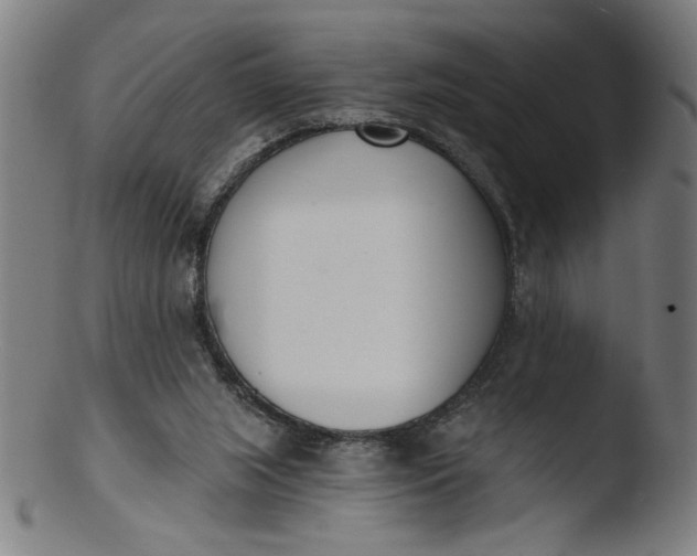 X0000103420063200809261717