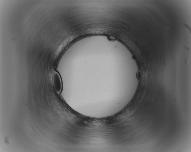 X0000103420064200809261717