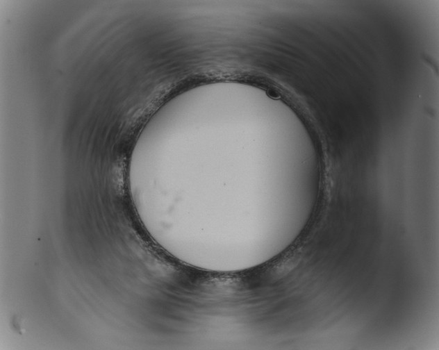 X0000103420065200809261717