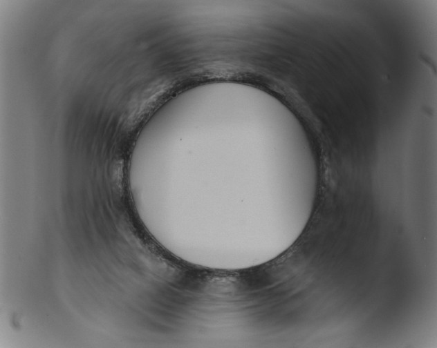 X0000103420066200809261717