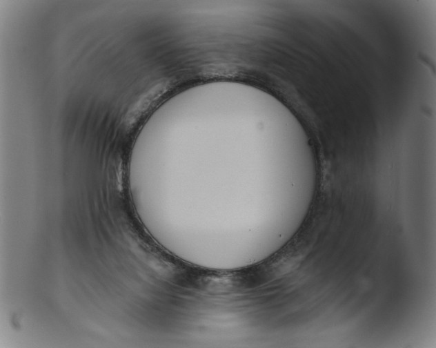 X0000103420068200809261717